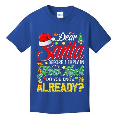Dear Santa Before I Explain How Much Do You Know Already Kids T-Shirt