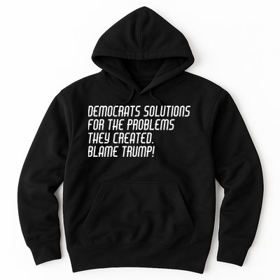 Democrat Solutions Blame Trump Hoodie