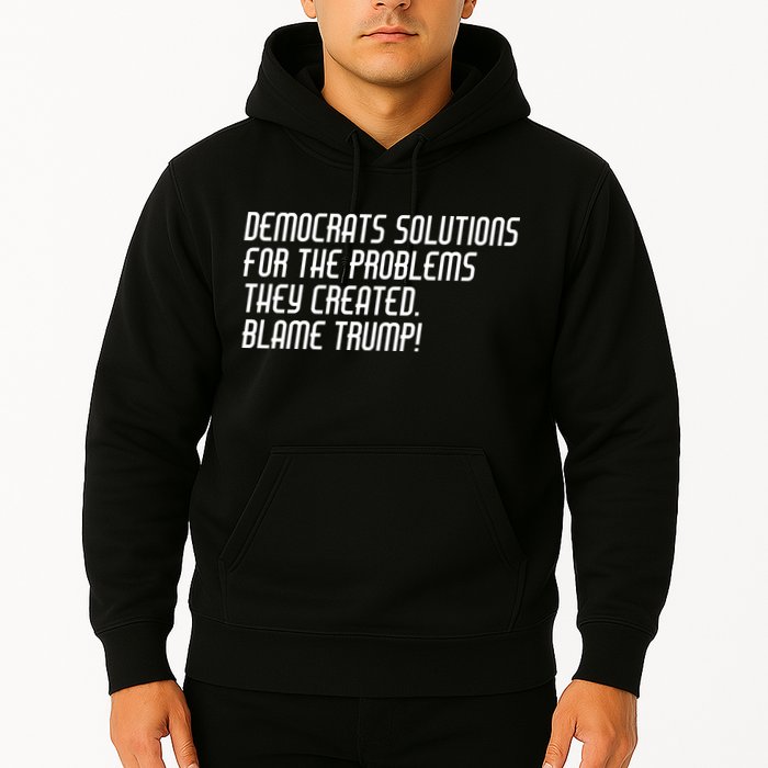 Democrat Solutions Blame Trump Hoodie