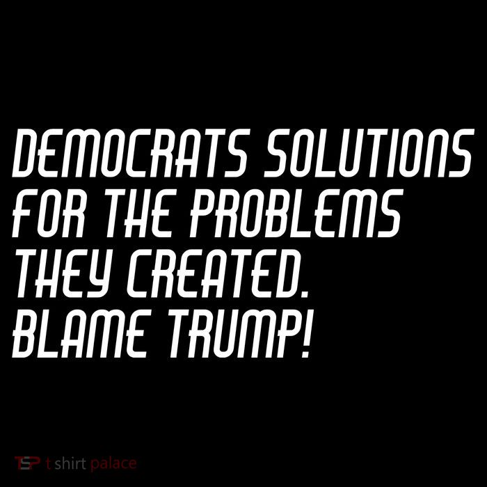 Democrat Solutions Blame Trump Poster