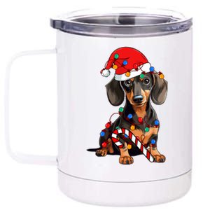 Dachshund Santa Christmas Lights Xmas Dog Lover Xmas Pajama 12 oz Stainless Steel Tumbler Cup