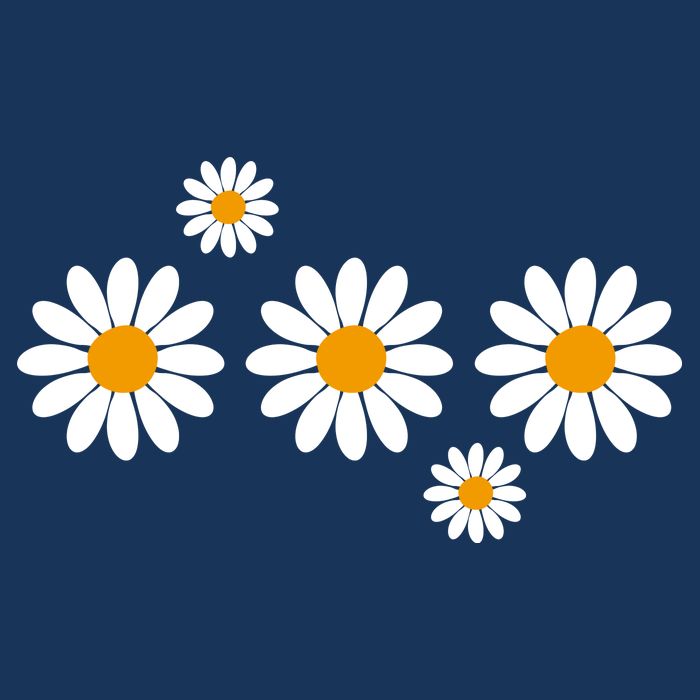 Daisy Spring Cute Floral Toddler Hoodie