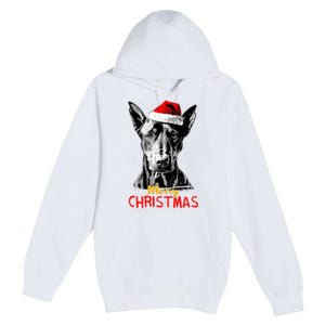 Doberman Santa Claus Hat Merry Christmas Dog Xmas Dogs Premium Pullover Hoodie