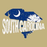 Distressed South Carolina Button