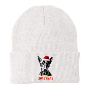 Doberman Santa Claus Hat Merry Christmas Dog Xmas Dogs Knit Cap Winter Beanie