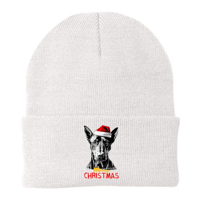 Doberman Santa Claus Hat Merry Christmas Dog Xmas Dogs Knit Cap Winter Beanie