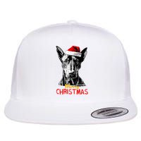 Doberman Santa Claus Hat Merry Christmas Dog Xmas Dogs Flat Bill Trucker Hat