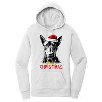 Doberman Santa Claus Hat Merry Christmas Dog Xmas Dogs Women's Pullover Hoodie