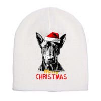 Doberman Santa Claus Hat Merry Christmas Dog Xmas Dogs Short Acrylic Beanie