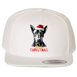 Doberman Santa Claus Hat Merry Christmas Dog Xmas Dogs Wool Snapback Cap