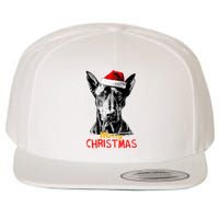 Doberman Santa Claus Hat Merry Christmas Dog Xmas Dogs Wool Snapback Cap