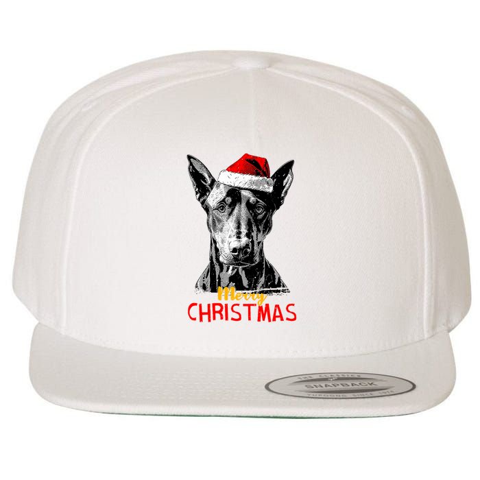 Doberman Santa Claus Hat Merry Christmas Dog Xmas Dogs Wool Snapback Cap