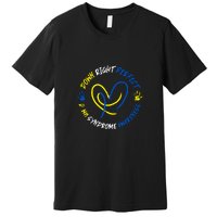 Down Syndrome Down Right Perfect Awareness Trisomy 21 Gift Premium T-Shirt