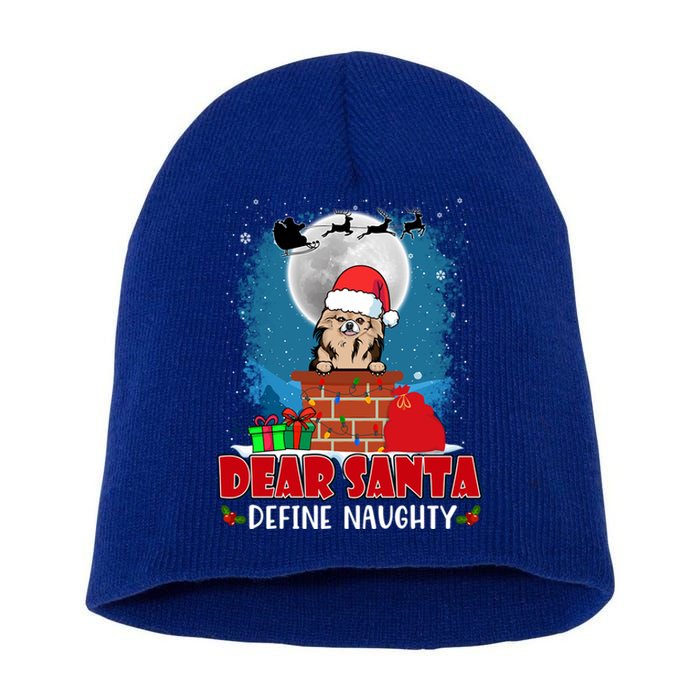 Dear Santa Define Naughty Chihuahua Dog Funny Christmas Great Gift Short Acrylic Beanie