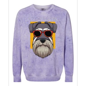 Dog Schnauzer Dad Watchdog Cynologist Fathers Day Design Colorblast Crewneck Sweatshirt