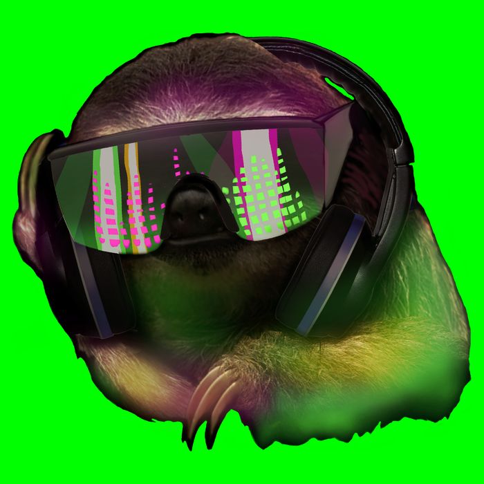 DJ Sloth Kids T-Shirt