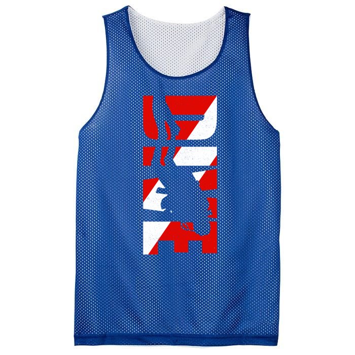 Dive Scuba Diving Gift Scuba Diving Gift Mesh Reversible Basketball Jersey Tank