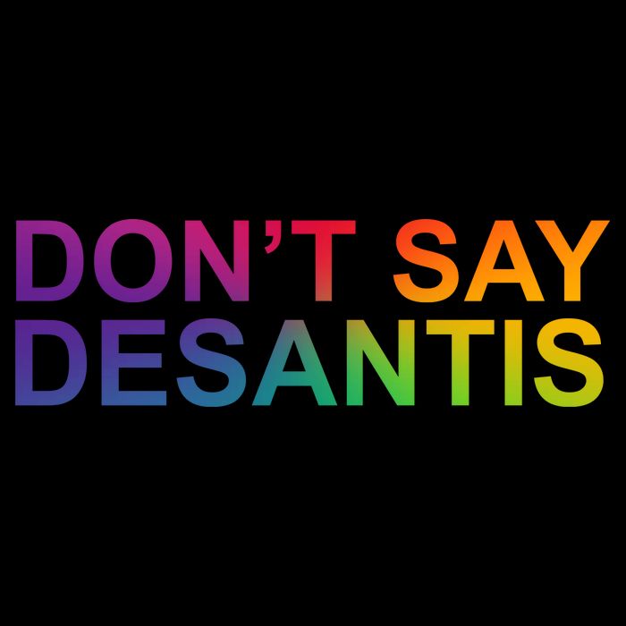 Dont Say Desantis Florida LGBTQ Rainbow 16 in Basic Backpack