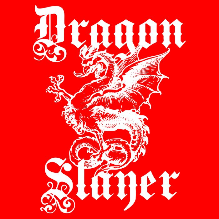Dragon Slayer Womens Tank Top