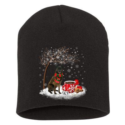 Dutch Shepherd Dog In The Snow Christmas Winter Xmas Tree Short Acrylic Beanie