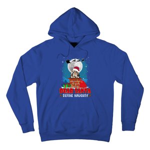 Dear Santa Define Naughty Shih Tzu Dog Funny Christmas Gift Hoodie