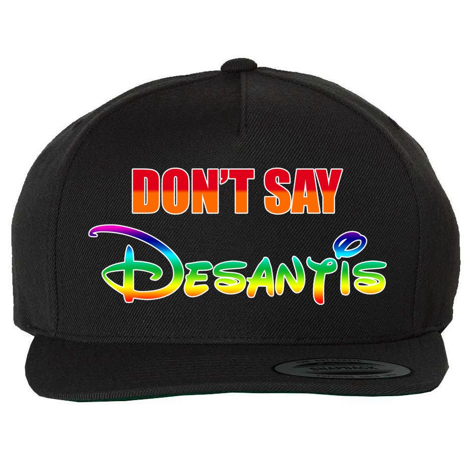 Dont Say Desantis Anti Florida Wool Snapback Cap
