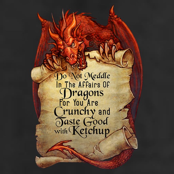Dragon Shirt Do Not Meddle In The Affairs Of Dragons Gift Hat