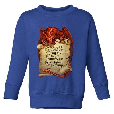 Dragon Shirt Do Not Meddle In The Affairs Of Dragons Gift Toddler Sweatshirt