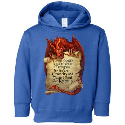Dragon Shirt Do Not Meddle In The Affairs Of Dragons Gift Toddler Hoodie