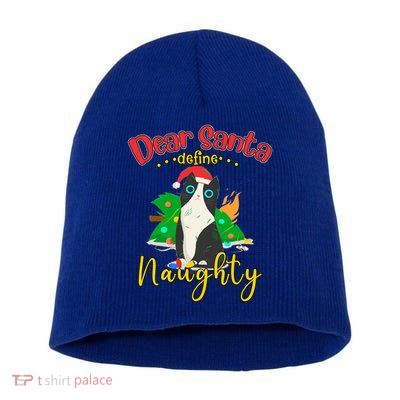 Dear Santa Define Naughty Funny Christmas Cat Funny Gift Short Acrylic Beanie