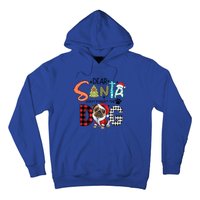 Dear Santa Dont Forget The Dog Pug Christmas Funny Gift Hoodie