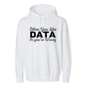 Data Science Engineer Statistics Analyst Finance Researchers Garment-Dyed Fleece Hoodie