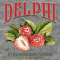Delphi Strawberry Farms Toddler Hoodie