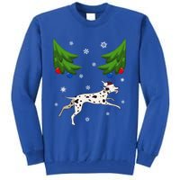 Dalmatian Santa Funny Dog Lover Red Plaid Christmas Tree Cool Gift Tall Sweatshirt