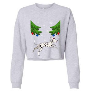 Dalmatian Santa Funny Dog Lover Red Plaid Christmas Tree Cool Gift Cropped Pullover Crew