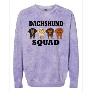 Dachshund Squad Funny Dog Team Pet Gift Colorblast Crewneck Sweatshirt