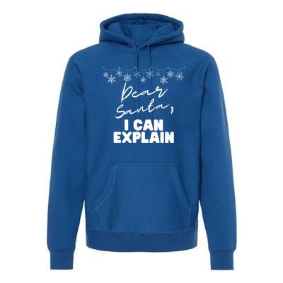 Dear Santa Funny Christmas Holiday Gift Designs Xmas Great Gift Premium Hoodie