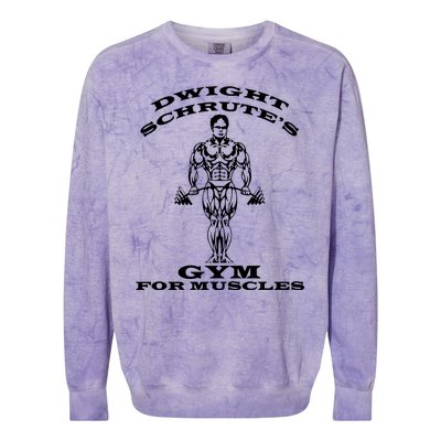 Dwight Schrute's Gym For Muscles Colorblast Crewneck Sweatshirt