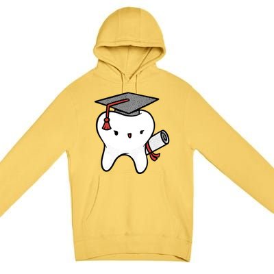 Dentist School Graduate Tooth Funny Gift Premium Pullover Hoodie