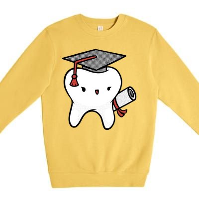 Dentist School Graduate Tooth Funny Gift Premium Crewneck Sweatshirt