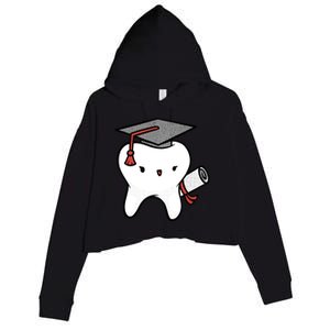 Dentist School Graduate Tooth Funny Gift Crop Fleece Hoodie