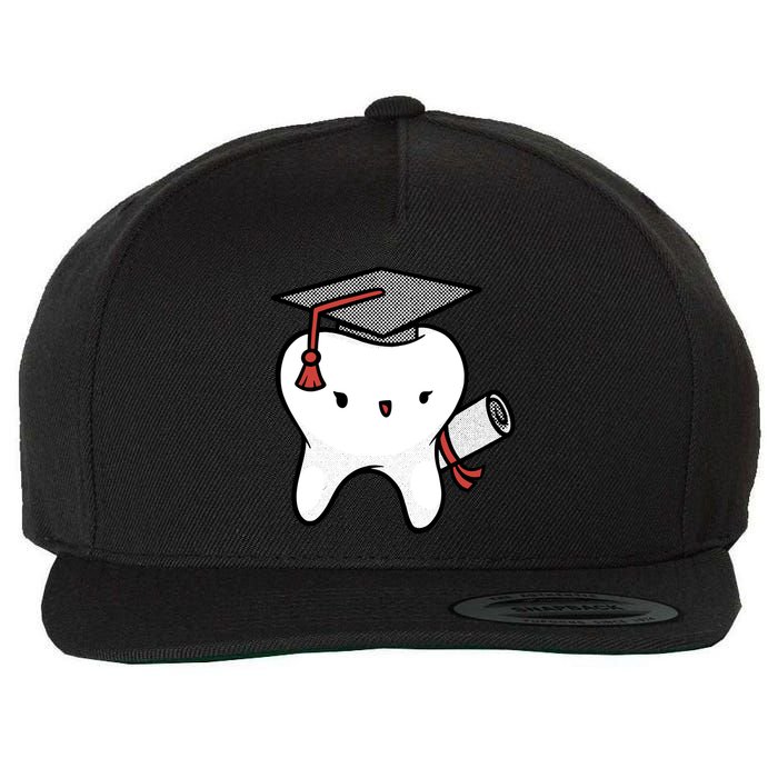 Dentist School Graduate Tooth Funny Gift Wool Snapback Cap