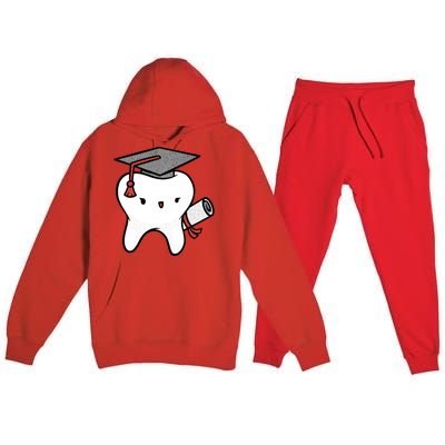 Dentist School Graduate Tooth Funny Gift Premium Hooded Sweatsuit Set