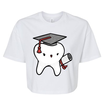 Dentist School Graduate Tooth Funny Gift Bella+Canvas Jersey Crop Tee