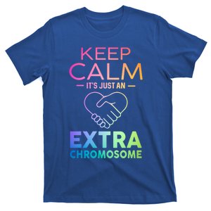 Down Syndrome Gift Keep Calm It's Just An Extra Chromosome Gift T-Shirt