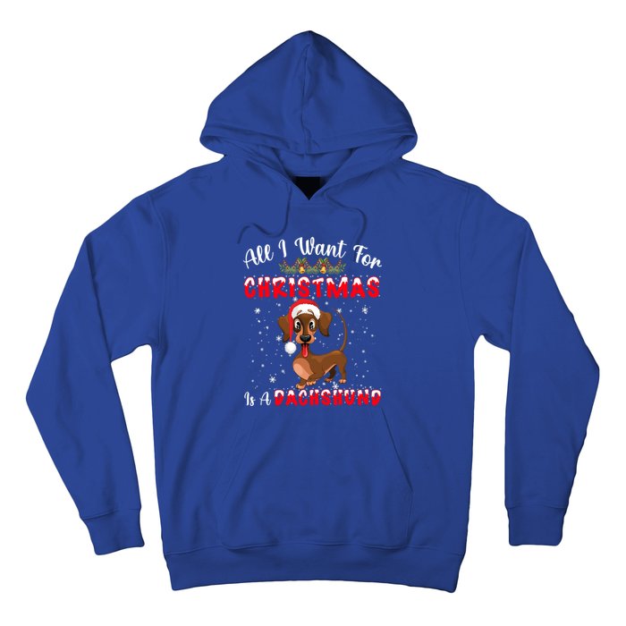 Dachshund Santa Hat All I Want For Christmas Is A Dachshund Meaningful Gift Hoodie