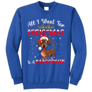 Dachshund Santa Hat All I Want For Christmas Is A Dachshund Meaningful Gift Sweatshirt