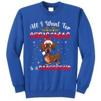 Dachshund Santa Hat All I Want For Christmas Is A Dachshund Meaningful Gift Sweatshirt