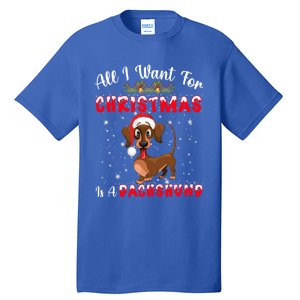 Dachshund Santa Hat All I Want For Christmas Is A Dachshund Meaningful Gift Tall T-Shirt