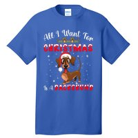 Dachshund Santa Hat All I Want For Christmas Is A Dachshund Meaningful Gift Tall T-Shirt